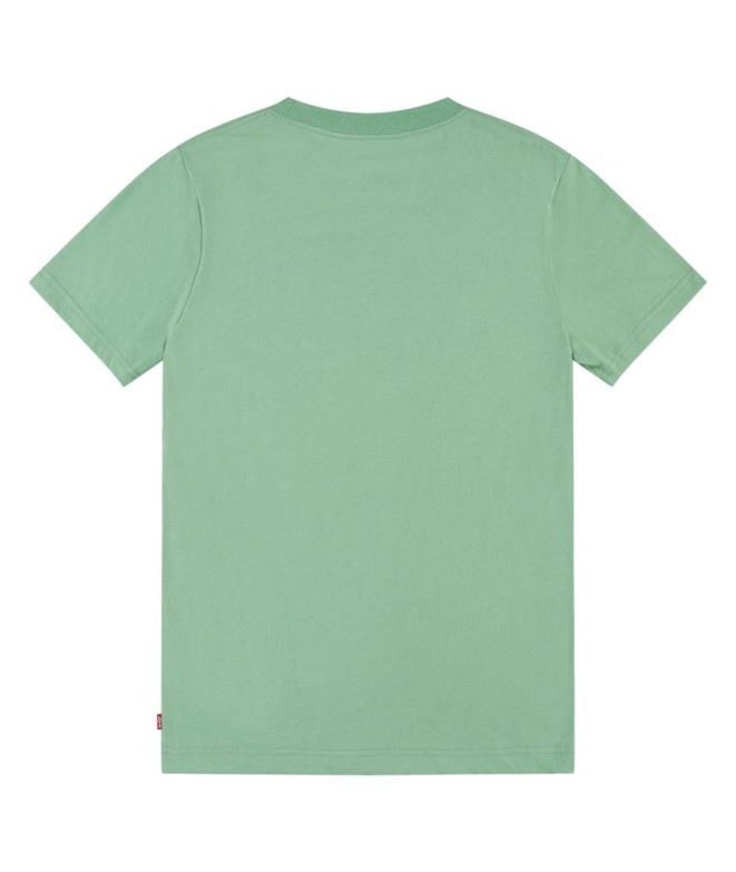 Camiseta Levi's Batwing Meadow Niño