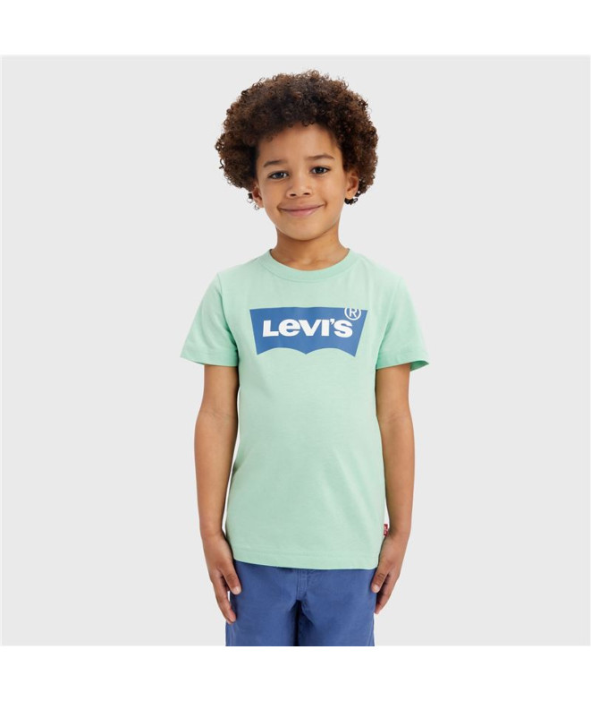 Camiseta Levi's Batwing Meadow Niño