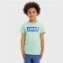 T-Shirt Levi's Batwing Meadow para rapaz