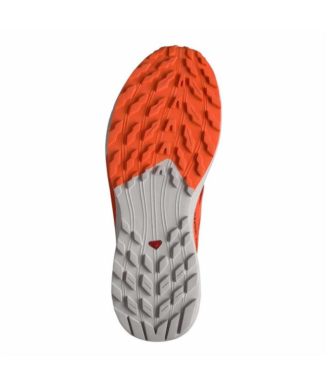 Chaussures de running sur sentier Salomon Sense...