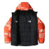 Veste The North Face Print RV Perrito Boy Grey