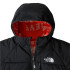 Veste The North Face Print RV Perrito Boy Grey