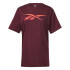 Camiseta Reebok RI Logo Maroon Hombre
