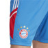 Pantalones Cortos de entrenamiento adidas Bayern Hombre