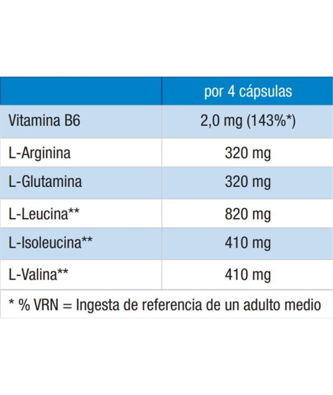 Aminoacidos Victory Endurance Amino Recovery