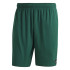 Bañador de Natación adidas Sld Clx Hombre verde