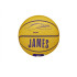 Bola de Basquete Wilson Ícone Mini Jogador Nba Lebron