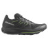 Sapatilhas de trail running Salomon Pulsar Trail Preto/Preto/Grgeck para homem