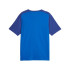 Camisola de futebol para homem Puma Oms