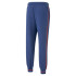 Pantalones Puma Bmw Mms Statement Pa Pro Azul