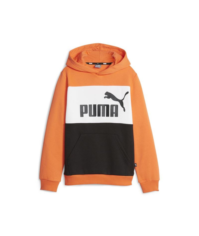 Sweatshirt Puma Ess Block Fl Kids