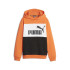 Sweatshirt Puma Ess Block Fl Kids