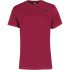 Camiseta de Montaña The North Face Redbox Red Hombre
