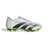 Botas de Fútbol adidas Predator Accuracy.4 Fxg