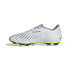 Botas de Fútbol adidas Predator Accuracy.4 Fxg