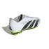 Botas de Fútbol adidas Predator Accuracy.4 Fxg
