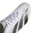 Botas de Fútbol adidas Predator Accuracy.4 Fxg