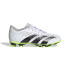 Botas de Futebol adidas Predator Accuracy.4 Fxg Infantil