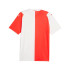 Maillot de football masculin Puma Sksme Repl