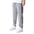 Calças New Era NBA Bloco de cores LA Lakers Cinzento Med Homem
