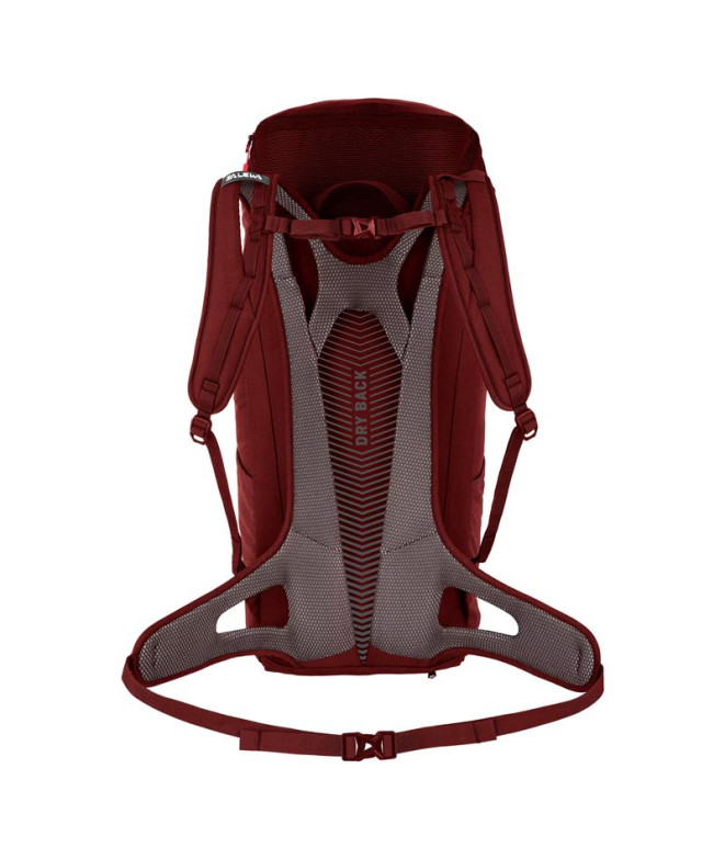 Sac à dos Montagne Femme de Salewa Alp Mate 24...