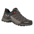 Zapatillas de Montaña Salewa Ms Mtn Trainer Lite Gtx Hombre Wallnut/Fluo Naranja