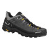 Sapatilhas Montanha Homem de Salewa Alp Trainer 2 Gtx M Onyx/Preto