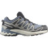Sapatilhas de trail running Salomon XA Pro 3D V9 Gore Tex Flint Stone/Black/Gray Man