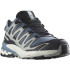 Sapatilhas de trail running Salomon XA Pro 3D V9 Gore Tex Flint Stone/Black/Gray Man