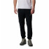 Columbia Triple Canyon™ II Fall Hiking Noir Pantalon de montagne Hommes