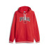 Sweatshirt Hommes Puma Squad Fl