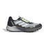 Chaussures de Montagne adidas Terrex AgravicaVIc Flow 2 Homme