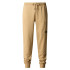 Mountain Trousers The North Face Nse Beige Hommes