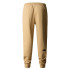 Mountain Trousers The North Face Nse Beige Hommes