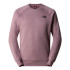 Camisola de montanha The North Face Raglan Redbox Crew - Novo castanho para homem