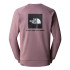 Camisola de montanha The North Face Raglan Redbox Crew - Novo castanho para homem