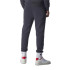 Calça Champion Punho com nervuras Legacy Cinzento Homem