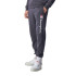 Calça Champion Punho com nervuras Legacy Cinzento Homem