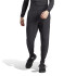 Pantalones adidas Z.N.E. Pr Hombre