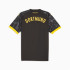 Camiseta Futebol de Puma Borussia Dortmund 23/24 Homem