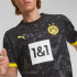 Camiseta Futebol de Puma Borussia Dortmund 23/24 Homem