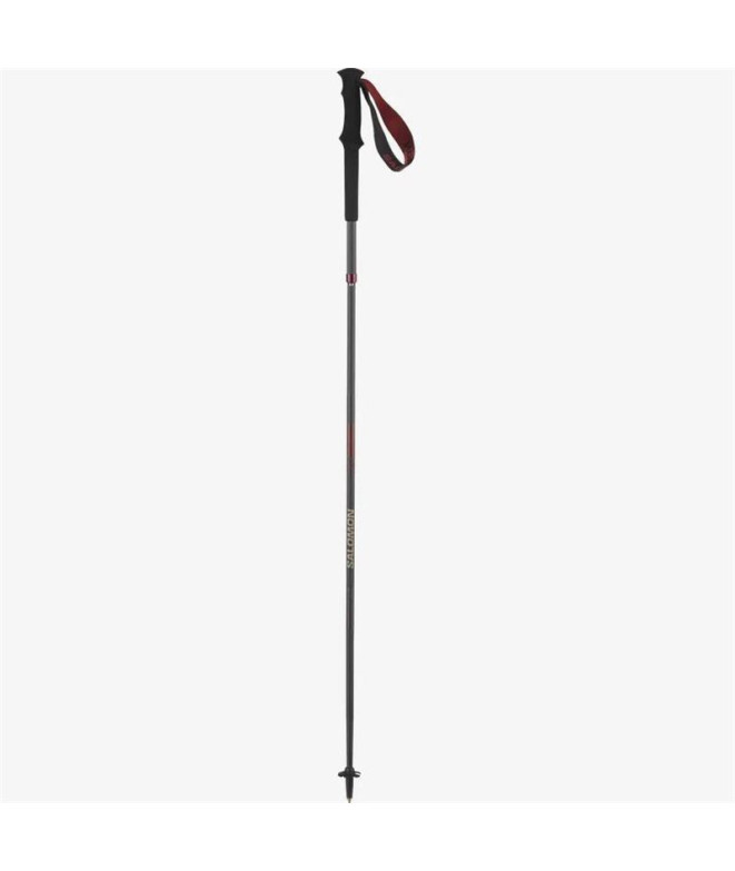 Bastones de Montaña Salomon Poles Quest Carbon...