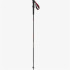 Bâtons de Montagne Salomon Poles Quest Carbon Pliables Madder