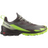 Sapatilhas running de montanha Salomon Cross Over 2 Gore-Tex Cinzento/Verde