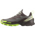 Sapatilhas running de montanha Salomon Cross Over 2 Gore-Tex Cinzento/Verde