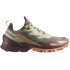Sapatilhas de montanha Salomon Cross Over 2 Gore-Tex Alfalfa/Chocolate Sapatilhas de mulher