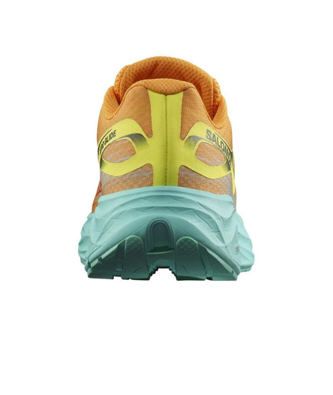 Sapatilhas Running Salomon de Aero Glide Zinna...