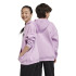Sudadera adidas All Szn Hd Infantil