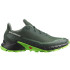 Sapatilhas de trail running Salomon Alphacross 5 Darkest Spruce/Black/Green Men's