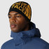 Gorro de montanha The North Face Estandarte reversível Preto